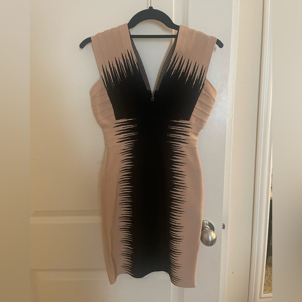 Herve Leger Bodycon Dress